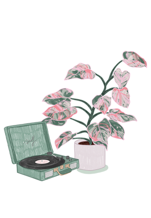 An illustration of a plant and an old record player, showing the Velasca lifestyle.